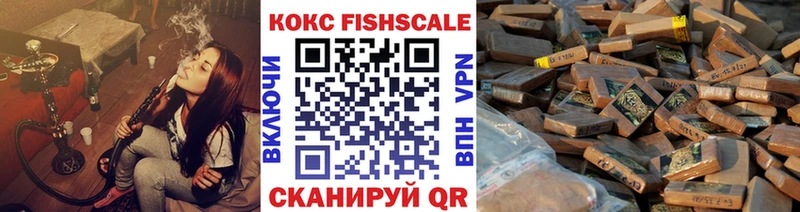 COCAIN Fish Scale  Купить где  Ершов 