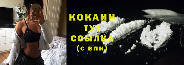 молекула духа Елабуга