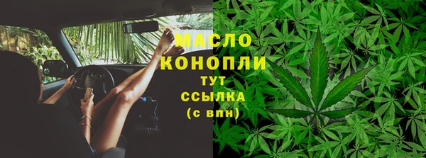 амф Пестово