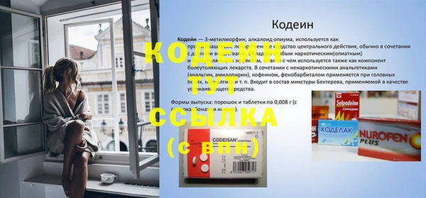 молекула духа Елабуга